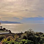 Carabeo Nerja