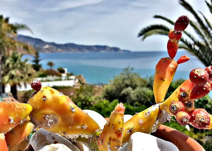 アパート Carabeo